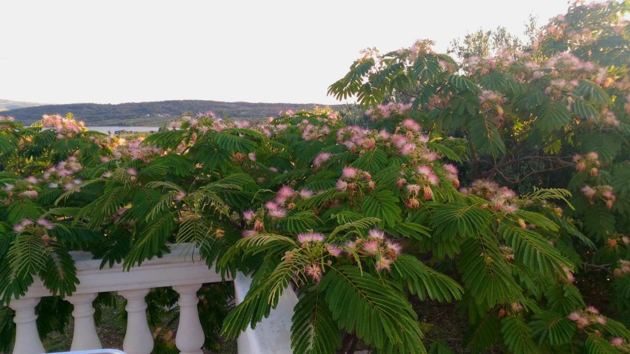 시베니크 The Garden Of Elais 빌라 외부 사진